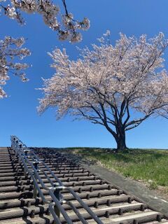 IMG_0661