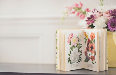 katherine-hanlon-417921-unsplash