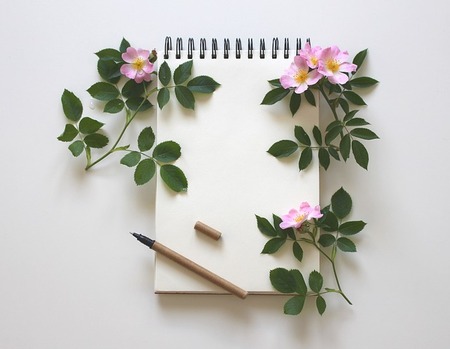 notebook-3397136_640