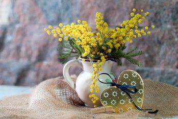 mimosa-5989110_640