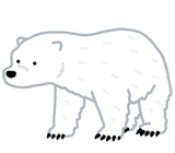 animal_bear_hokkyoku