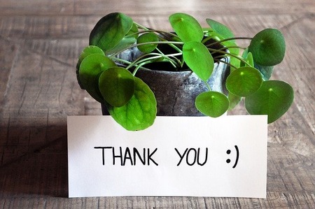 thank-you-3690116_640