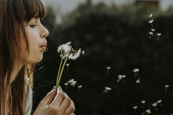 nine-koepfer-zosE9lAYQlo-unsplash