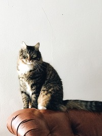 stephanie-harvey-HvtsqRJiyL8-unsplash