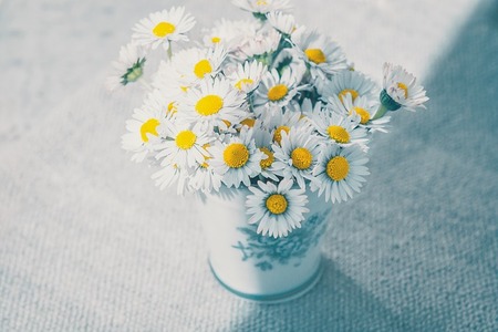 flowers-1352529_640
