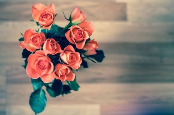 roses-690085_640