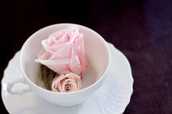 C785_cupniireraretabara_TP_V