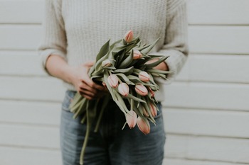 priscilla-du-preez-1488405-unsplash