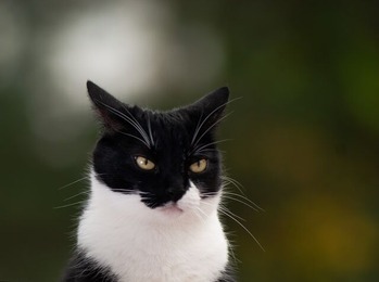 bohdan-komarivskyi-Zk3ucRZAOus-unsplash