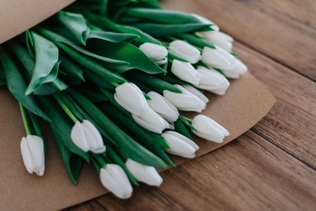 roman-kraft-tw4olON9liM-unsplash
