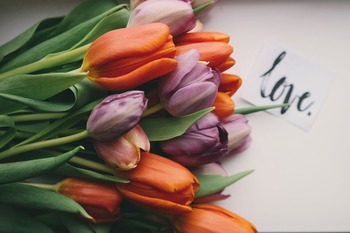 brigitte-tohm-210081-unsplash
