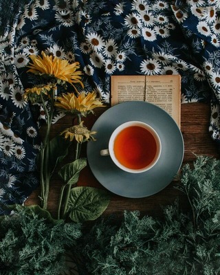 loverna-journey-5kb0HwTHqTg-unsplash