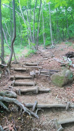 水沢山登山道3