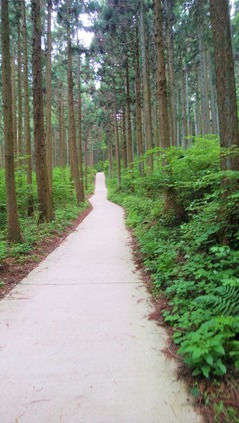 水沢山登山道1