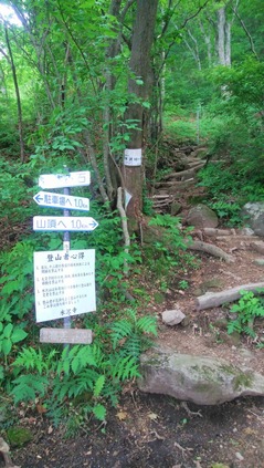 水沢山登山道5