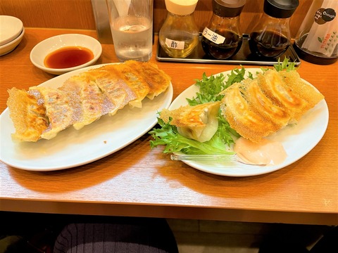 宇都宮餃子