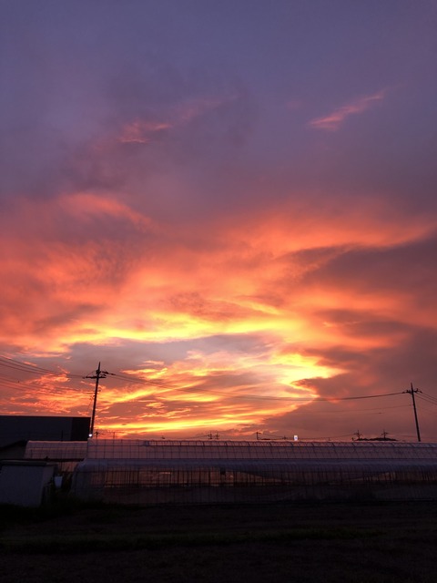 IMG_5350