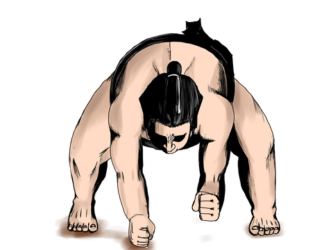 sumo-