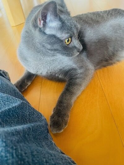 IMG_2591