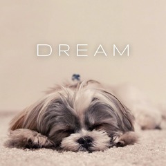 Sleepy Puppy Photo Social Media Graphic