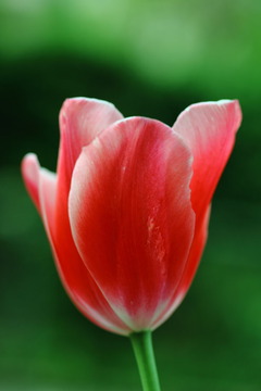 IMG_9906５ｄ612-12-1