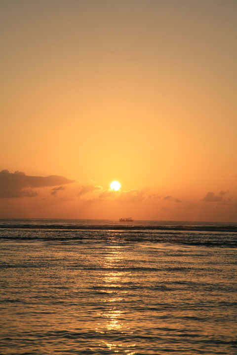 IMG_0003_5
