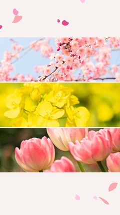 ピンク 写真 花 春 楽しい おでかけ Instagram ストーリー