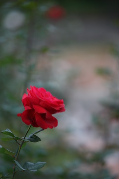 2I9R1118