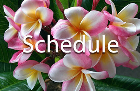 Schedule