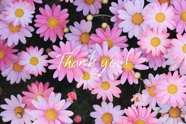 thanku-06-2