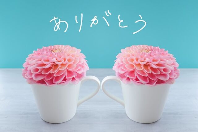 thanku-12-2