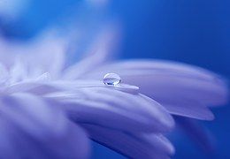 drop-of-water-571956__180