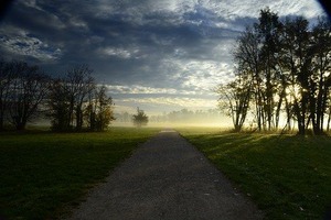 park-1086227__340