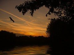 sunset-113193__180