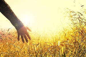 hands-2667461__340