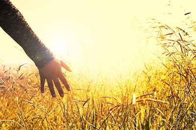 hands-2667461__480のコピー