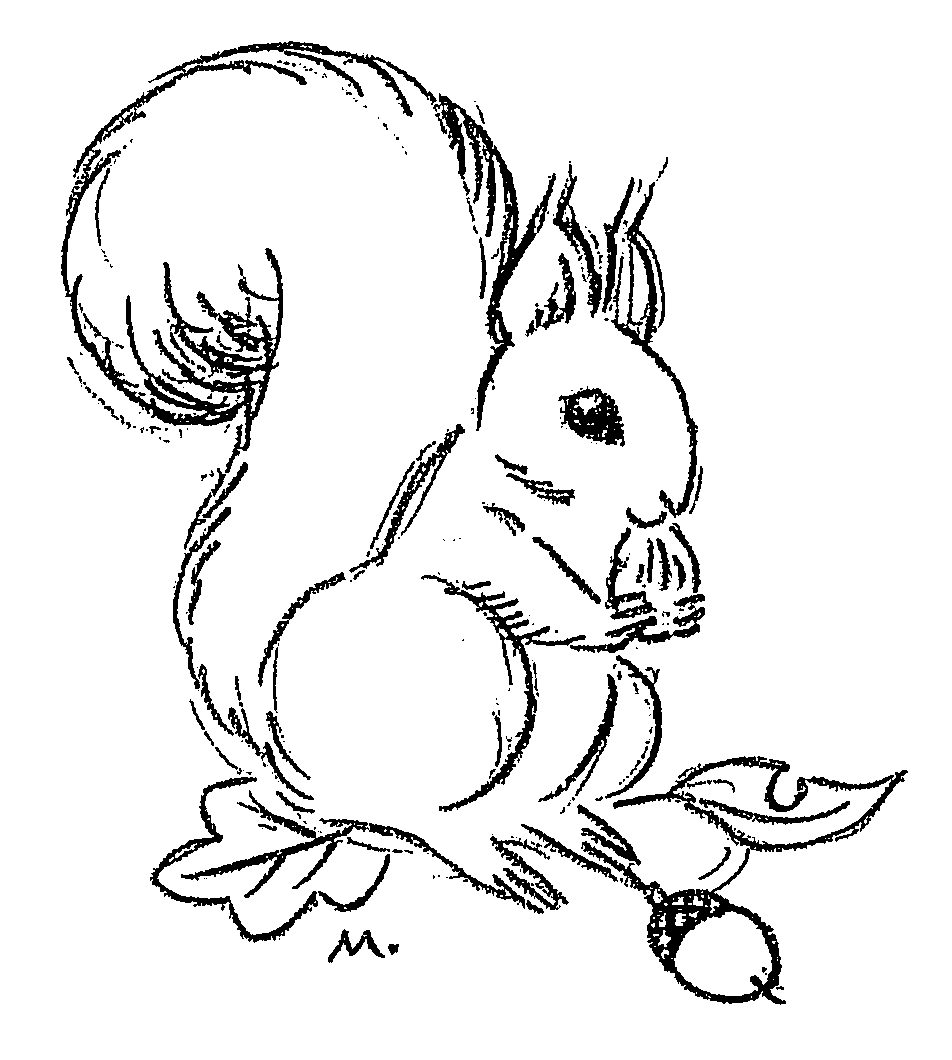 リス らくがきちょう リス らくがきちょう