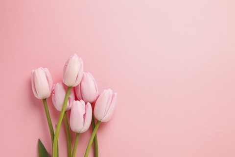 AdobeStock_62757261_s