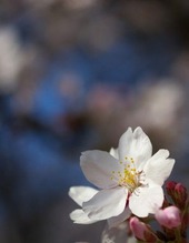 a0940_000279