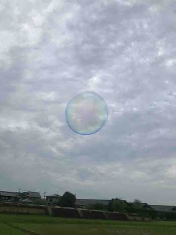E51CA47F-7F54-44AC-B0A0-F25C5F469E48