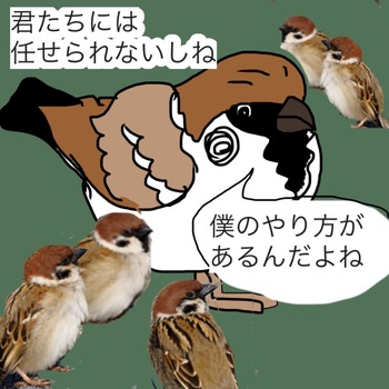 2017-01-29-22-10-43
