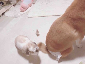 IMG_9892