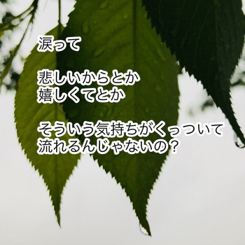 56F13C9C-3A7F-4EA6-940A-940D41901238