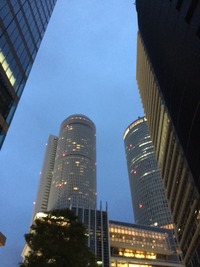 IMG_0961