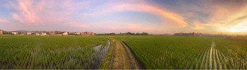 IMG_9589