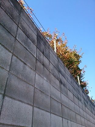 壁