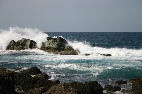 IMG_7619