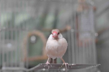 73B01762-83FC-4C73-A481-DA728DA16225