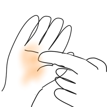 IMG_3537