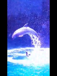 2017-02-20-22-26-37